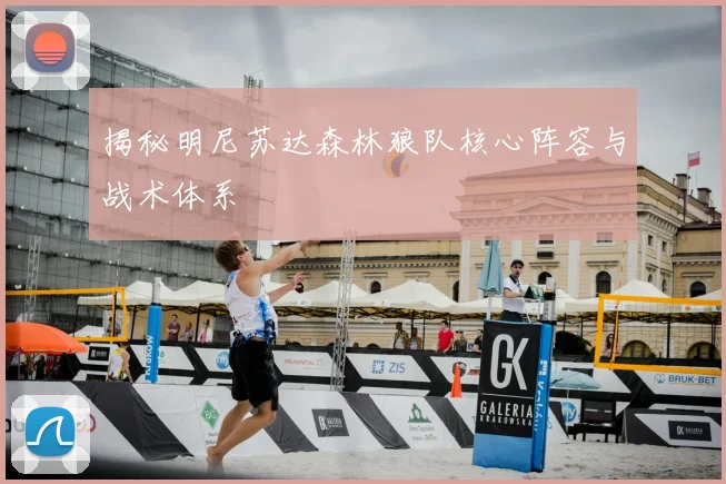 揭秘明尼苏达森林狼队核心阵容与战术体系