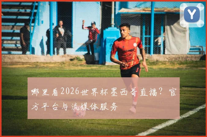 哪里看2026世界杯墨西哥直播?官方平台与流媒体服务