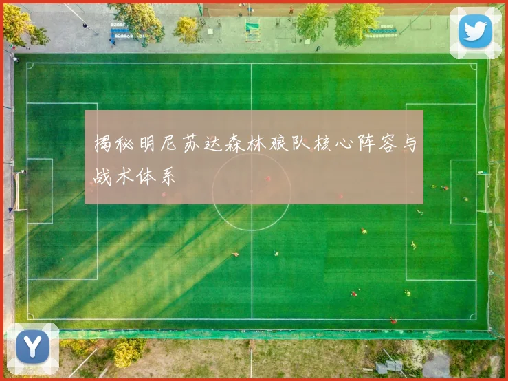 揭秘明尼苏达森林狼队核心阵容与战术体系